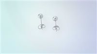 Boucles d'oreilles in Argent 120008 000